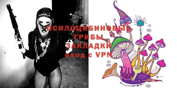 mix Богородск