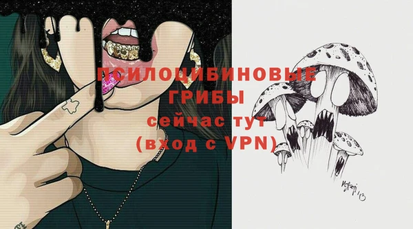 кокаин перу Богородицк