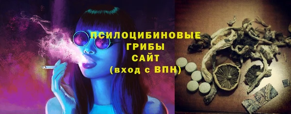 mix Богородск