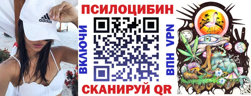 наркошоп  Балашов  Галлюциногенные грибы прущие грибы 